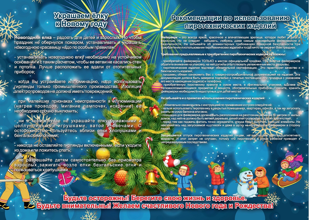 Памятка ВДПО Новый Год 2025